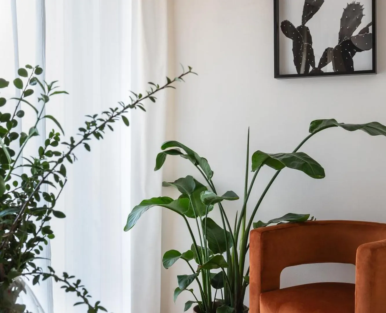 Turnkey I Republic Square Apartments Prague